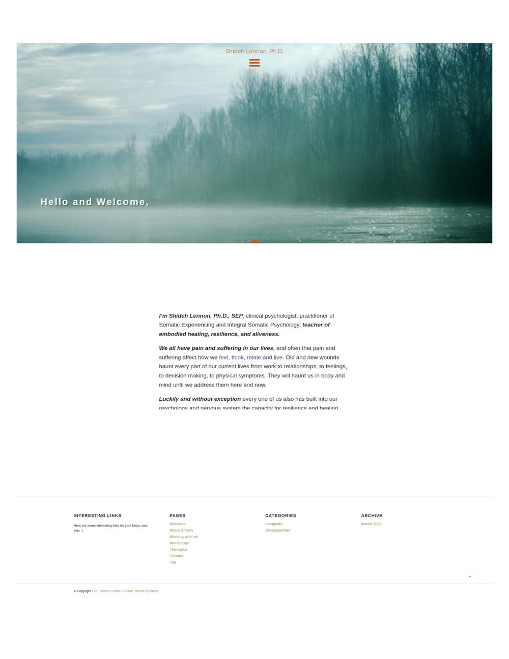 Trauma therapy website before rebrand