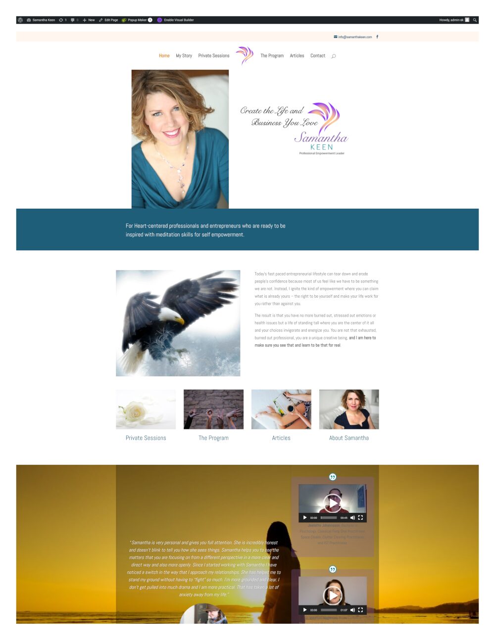 Website before new branding and redesign.