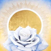 Final hero image of the White Rose painting as a luminous focal point in the meditation hall.