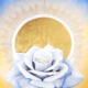 Final hero image of the White Rose painting as a luminous focal point in the meditation hall.